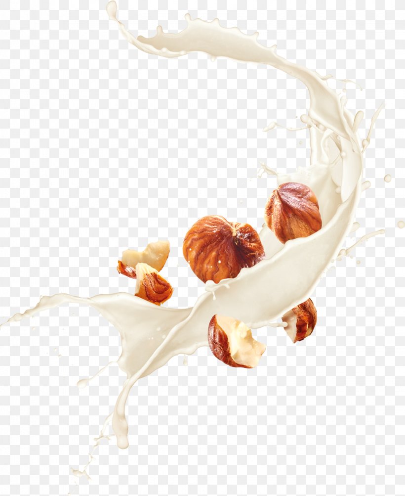 Almond Milk Latte Hazelnut Food, PNG, 971x1188px, Milk, Almond Milk, Alpro, Common Hazel, Dessert Download Free