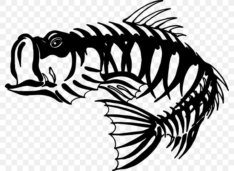 Bass Fishing Skeleton Largemouth Bass, PNG, 800x600px, Bass, Art, Artwork, Bass Fishing, Beak Download Free