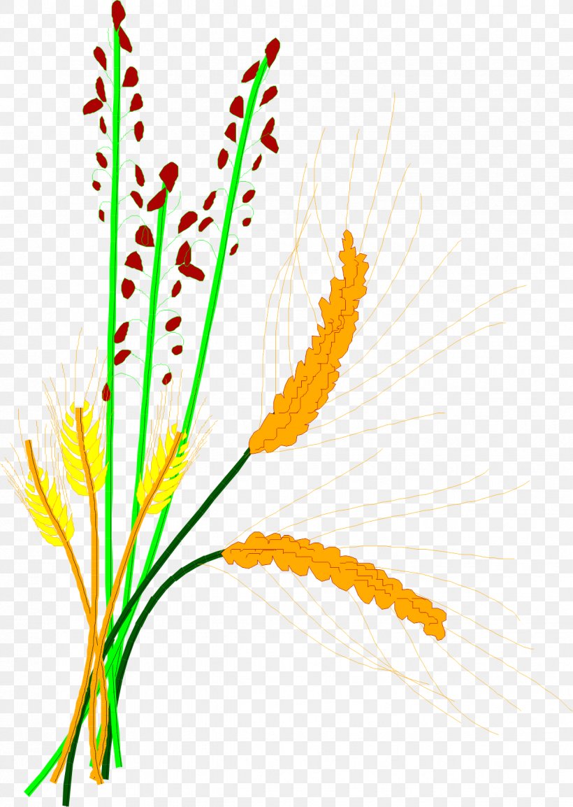 Rice Cereal Grain Clip Art, PNG, 1225x1724px, Rice, Barley, Branch, Caryopsis, Cereal Download Free