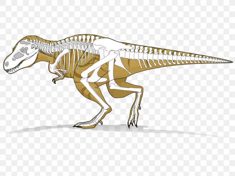 Tyrannosaurus Dinosaur Velociraptor Radiometric Dating Tarbosaurus, PNG, 1024x768px, Tyrannosaurus, Animal Figure, Carnivore, Cretaceous, Dinosaur Download Free