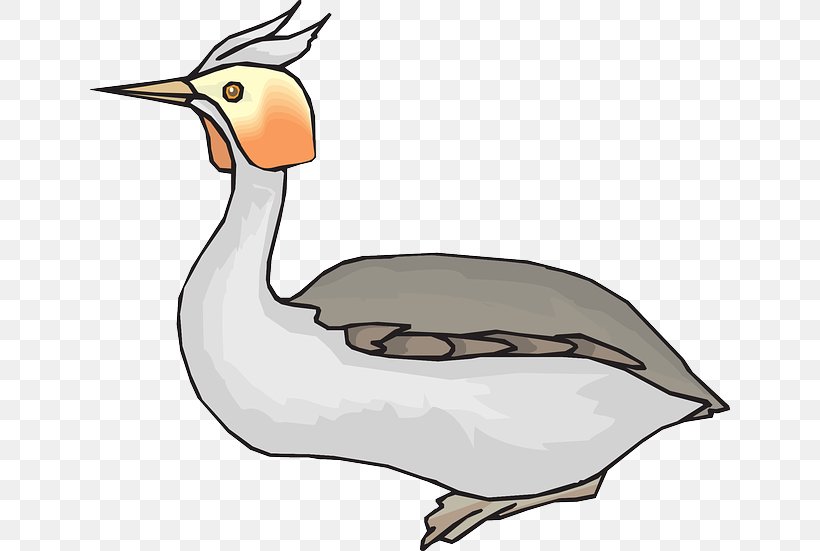 Duck Bird Goose Woodpecker Clip Art, PNG, 640x551px, Duck, Artwork, Beak, Bird, Drawing Download Free
