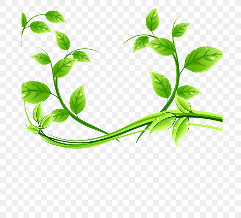 Green Tea, PNG, 6050x5461px, Tea, Branch, Cup, Drawing, Grass Download Free