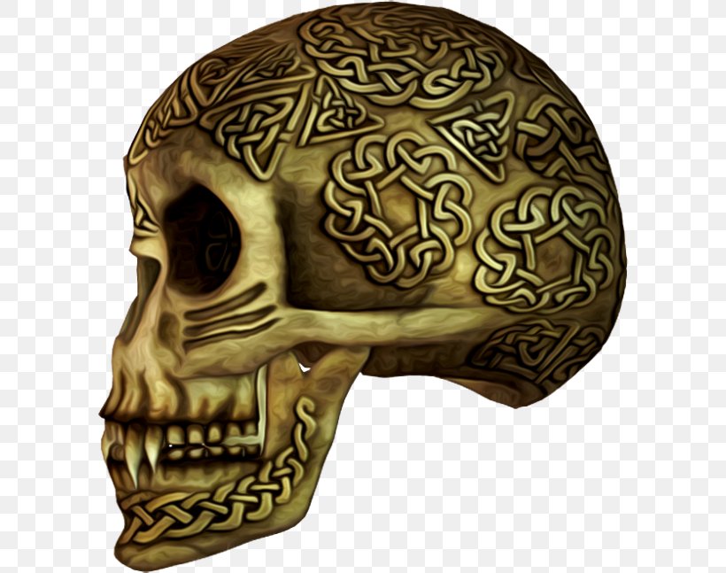 Skull Calavera Skeleton Bone, PNG, 600x647px, Skull, Bone, Calavera, Google Images, Gratis Download Free