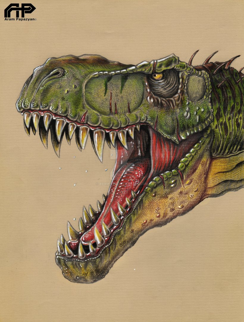 Buy 6 Dinosaur Drawing Dinosaur Illustration Dinosaur Art Online in India   Etsy