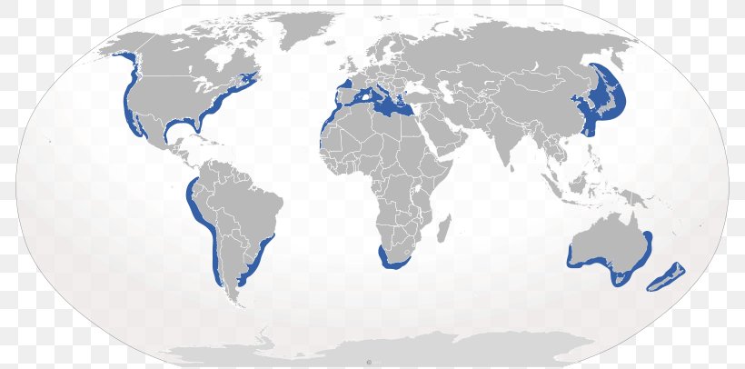 World Map Robinson Projection, PNG, 800x406px, World Map, Atlas, Blue, Earth, Geography Download Free