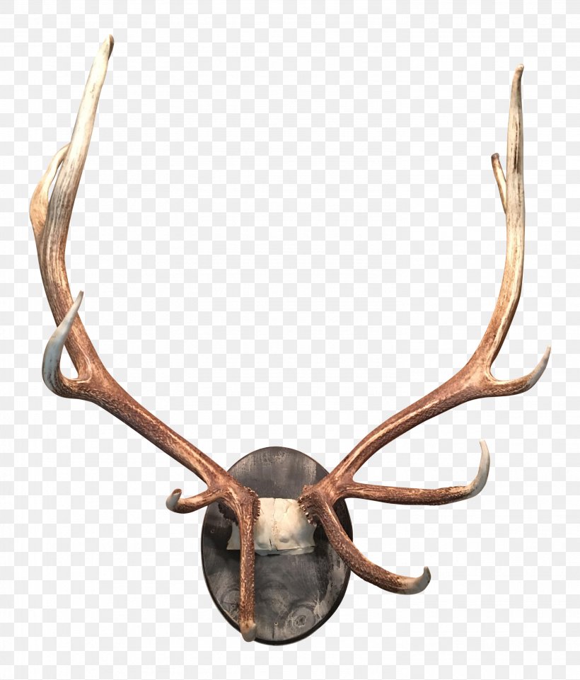 Deer Antler Moose Horn Elk, PNG, 2961x3473px, Deer, Accommodation, Animal, Animal Product, Antler Download Free