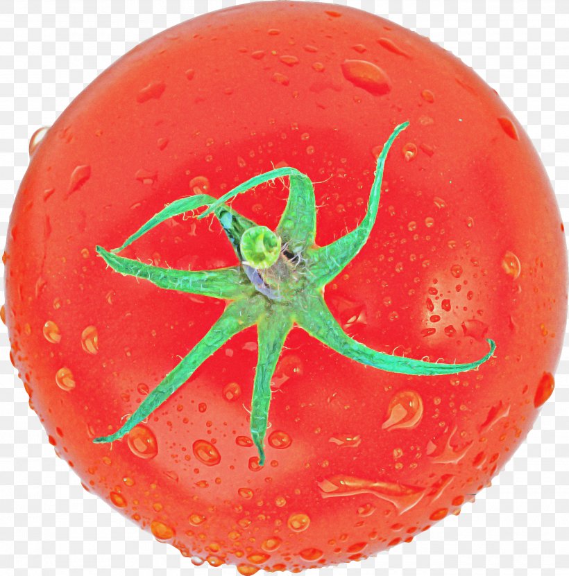 Tomato Cartoon, PNG, 2600x2637px, Tomato, Ball, Bouncy Ball, Flying Disc, Orange Download Free