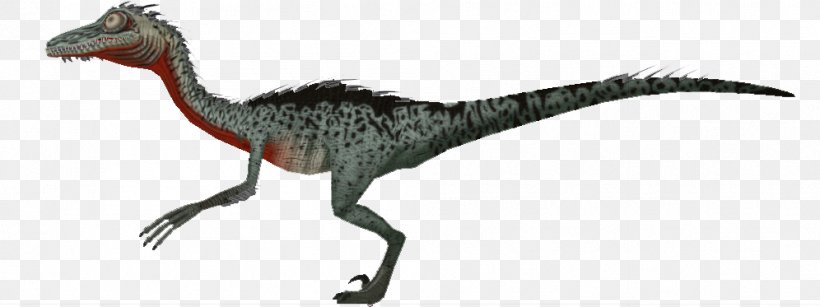 Velociraptor Animal, PNG, 996x373px, Velociraptor, Animal, Animal Figure, Beak, Dinosaur Download Free