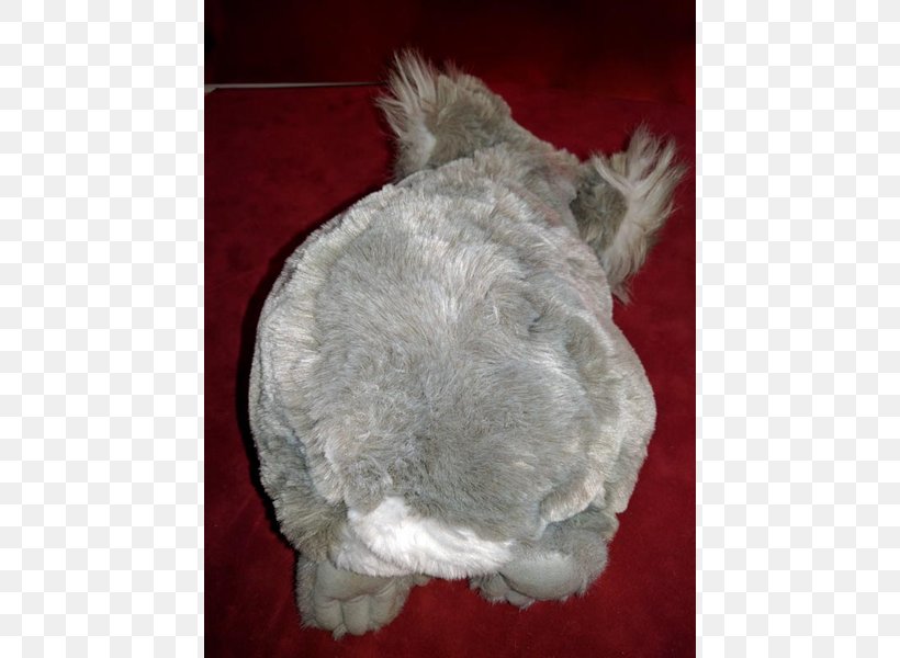 Dog Canidae Fur Snout Mammal, PNG, 600x600px, Dog, Canidae, Dog Like Mammal, Fur, Mammal Download Free