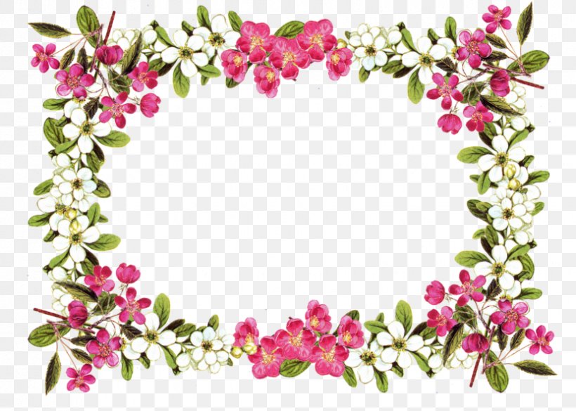 Flower Clip Art, PNG, 830x593px, Flower, Art, Blossom, Border Art, Branch Download Free