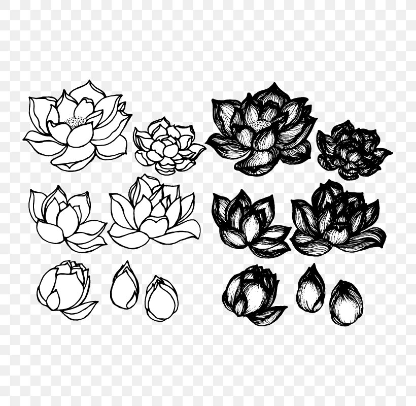 Lotus Cars Drawing Croquis Sketch, PNG, 801x800px, Lotus Cars, Black, Black And White, Croquis, Designer Download Free