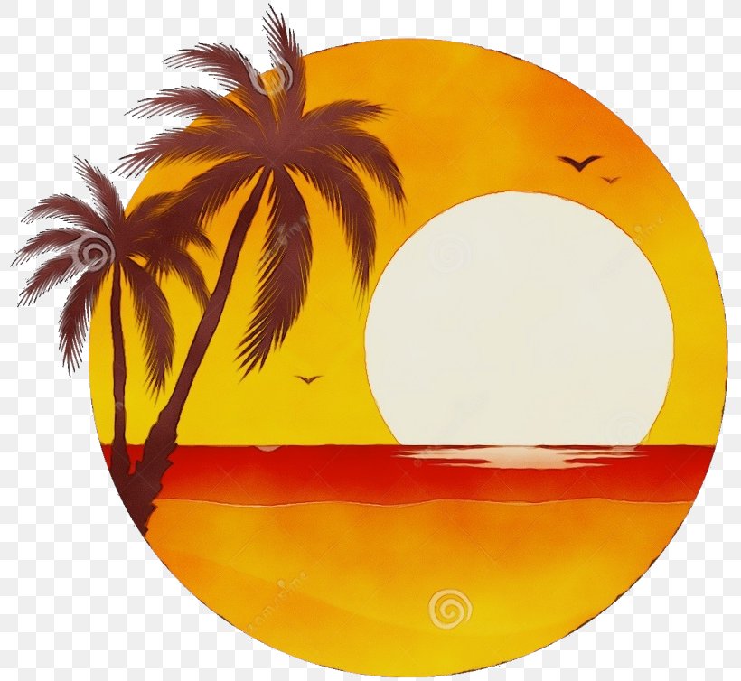 Palm Tree Drawing, PNG, 800x754px, Watercolor, Arecales, Drawing, Logo, Orange Download Free