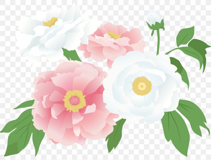 Centifolia Roses Cut Flowers Piano Garden Roses, PNG, 2000x1516px, Watercolor, Cartoon, Flower, Frame, Heart Download Free
