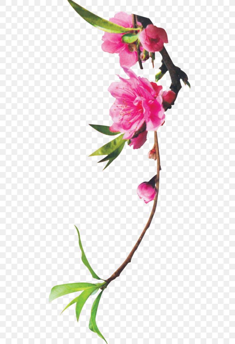 Floral Design Cut Flowers Plant Stem Bud, PNG, 563x1200px, Floral Design, Artificial Flower, Blossom, Botany, Branch Download Free