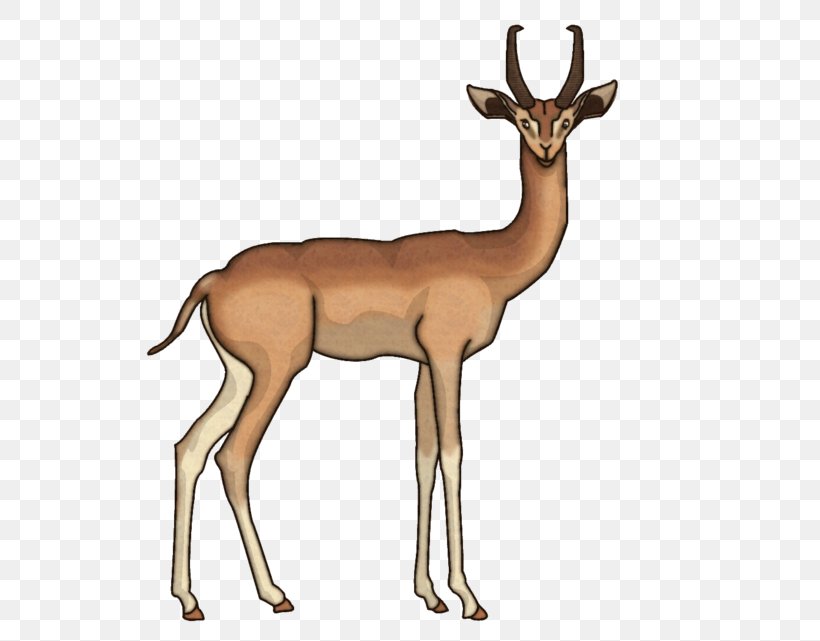 Impala Springbok Antelope Gerenuk Elk, PNG, 600x641px, Impala, Animal, Antelope, Antler, Camel Like Mammal Download Free