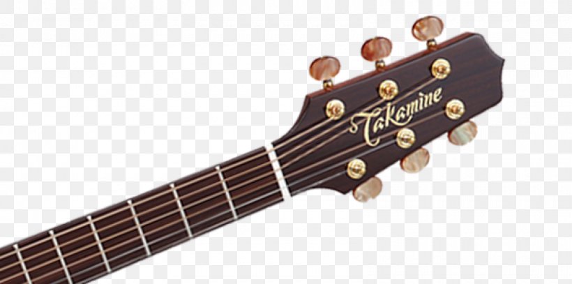 Takamine Pro Series P3DC Takamine Guitars Steel-string Acoustic Guitar, PNG, 1600x795px, Takamine Pro Series P3dc, Acoustic Electric Guitar, Acoustic Guitar, Acousticelectric Guitar, Cutaway Download Free