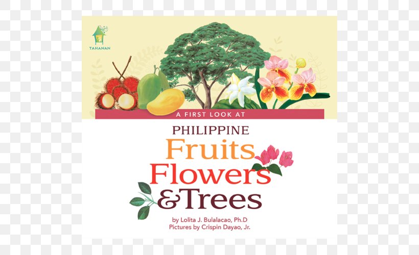 A First Look At Philippine Fruits Philippines Book A First Look At Philippine Butterflies Floral Design, PNG, 500x500px, Philippines, Board Book, Book, Brand, Floral Design Download Free