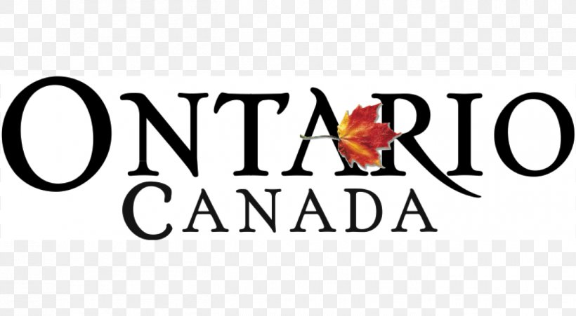 Business Logo Kawartha Trans Canada Trail Association Corporation Startup Company, PNG, 1352x744px, Business, Area, Brand, Canada, Corporation Download Free