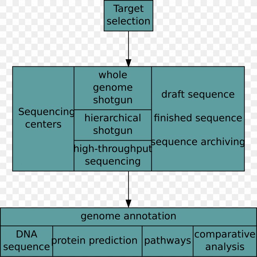 Nucleic Acid Sequence Whole Genome Sequencing DNA Sequencing, PNG, 1920x1924px, Nucleic Acid Sequence, Biology, Brand, Cancer Genome Sequencing, Chart Download Free