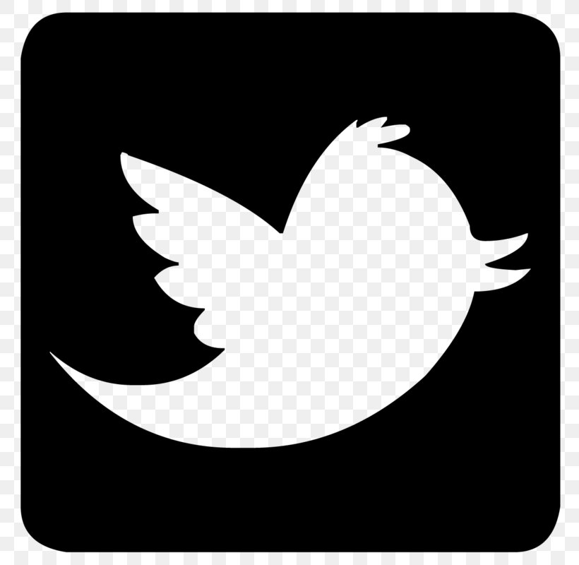 Blog Social Media, PNG, 800x800px, Blog, Beak, Bird, Black And White, Crescent Download Free