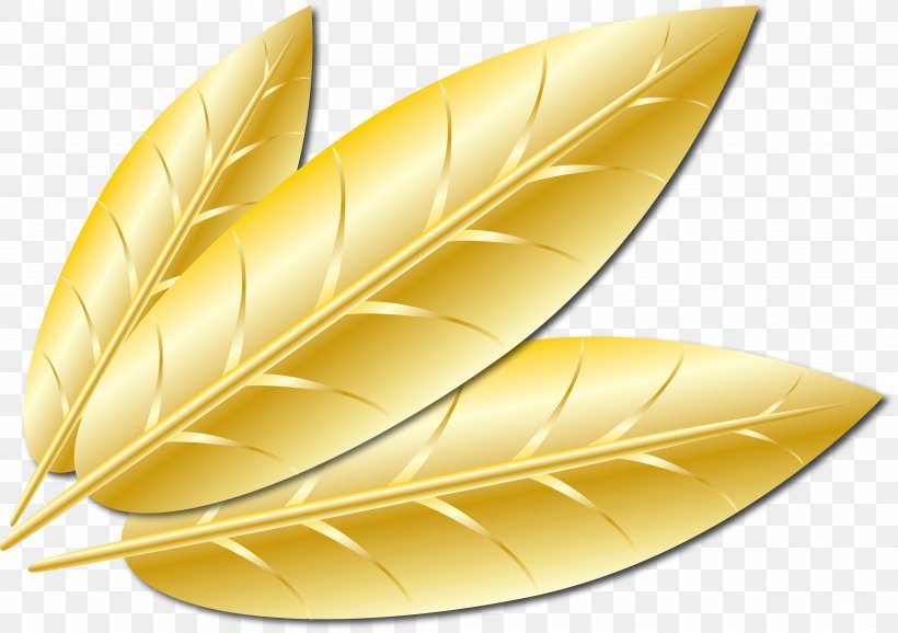 Feather, PNG, 4333x3059px, Feather, Commodity Download Free