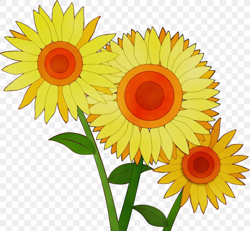 Floral Design, PNG, 1141x1052px, Sunflower, Common Sunflower, Cut Flowers, Floral Design, Flower Download Free