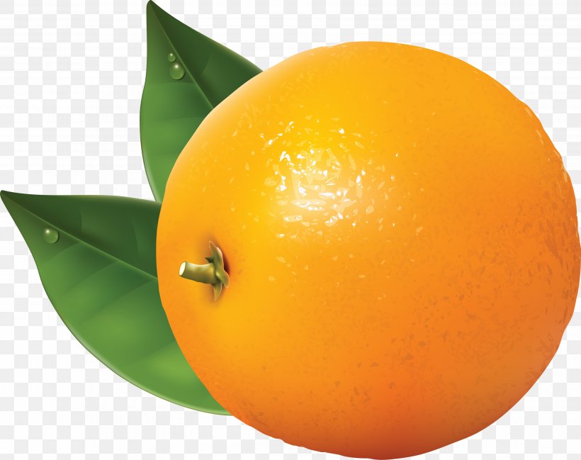 Orange Tangerine Clip Art, PNG, 3560x2818px, Mandarin Orange, Blog, Citric Acid, Citrus, Clementine Download Free