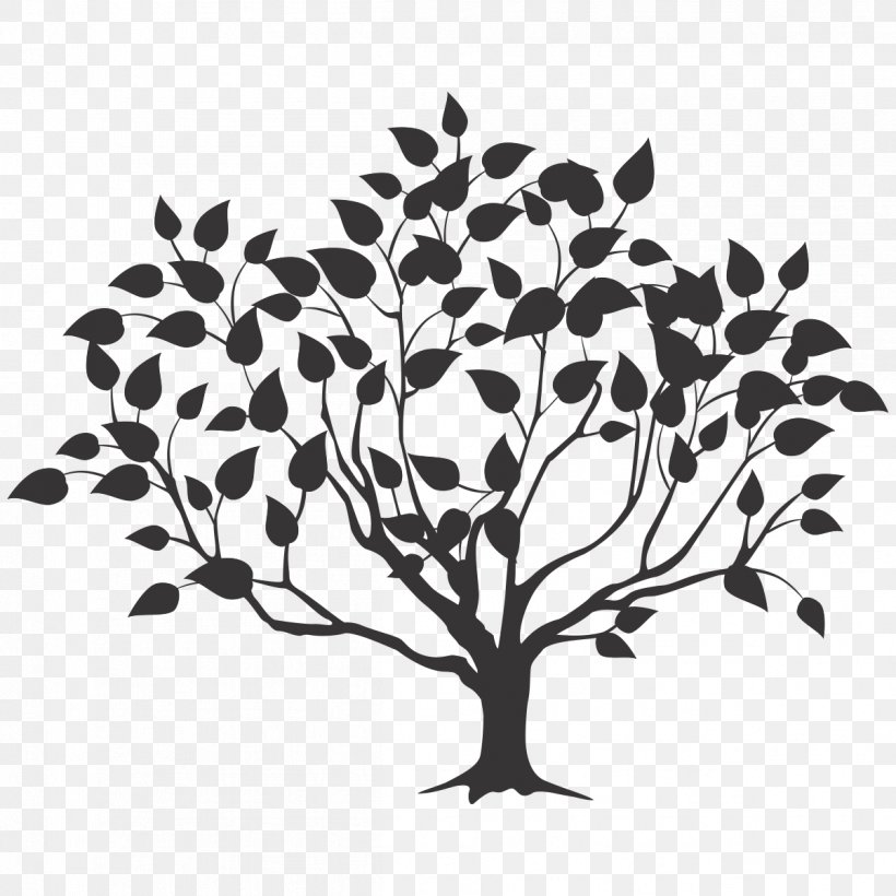 Root Tree Drawing, PNG, 1201x1201px, Root, Art, Black And White, Branch, Drawing Download Free
