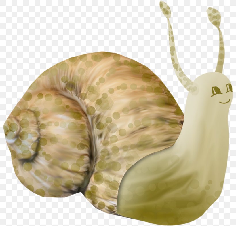 Snail Orthogastropoda Drawing, PNG, 800x784px, Snail, Animation, Caracol, Cartoon, Drawing Download Free