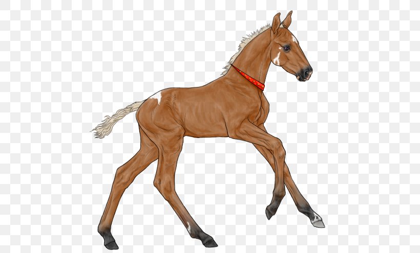 Mustang Foal Colt Stallion Mare, PNG, 594x495px, Mustang, Animal Figure, Black, Bridle, Chestnut Download Free