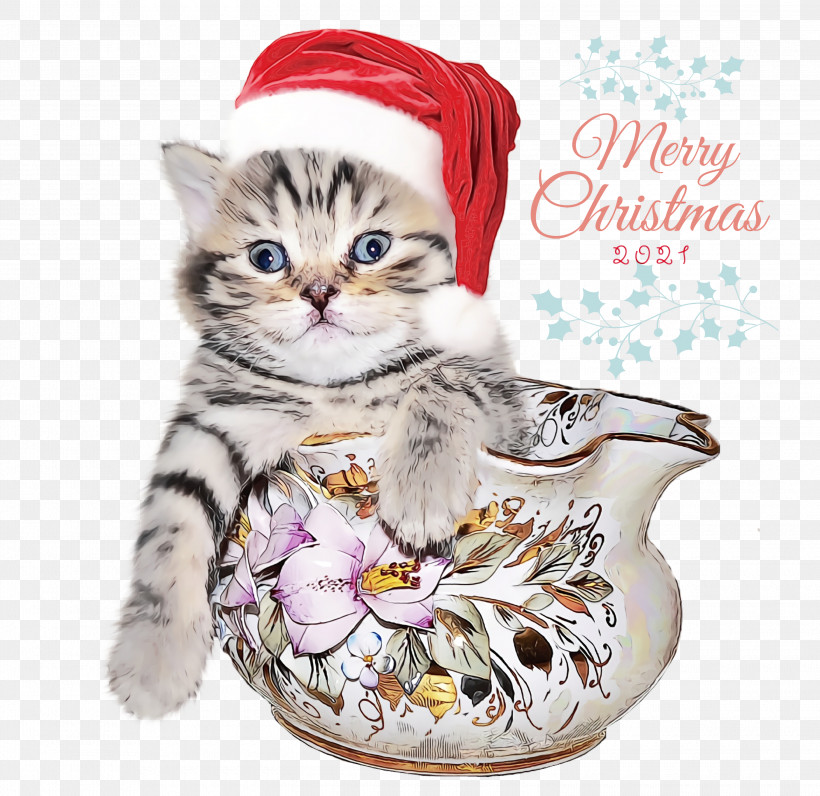Kitten British Shorthair Poodle Cat Food Puppy, PNG, 3000x2915px, Merry Christmas, British Shorthair, Cat, Cat Food, Cat Toy Download Free
