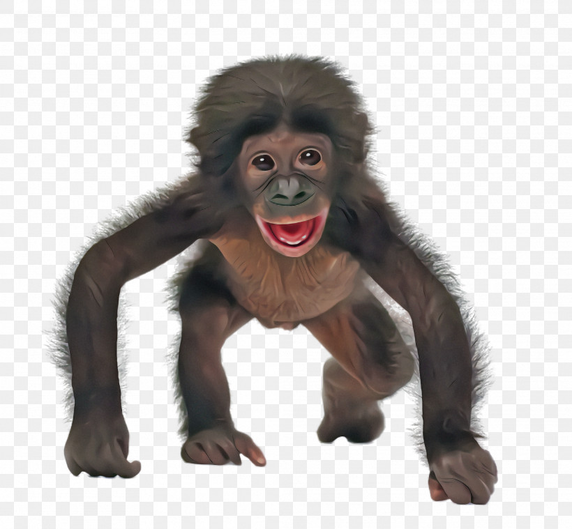 Old World Monkey Mouth New World Monkey Common Chimpanzee Laugh, PNG, 2076x1924px, Old World Monkey, Common Chimpanzee, Laugh, Mouth, New World Monkey Download Free