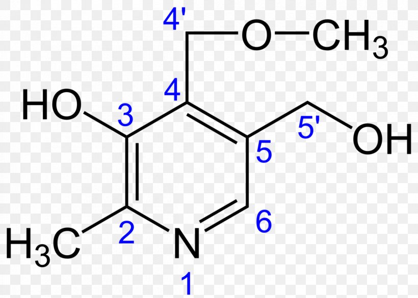 Pyridoxine Vitamin B-6 Ginkgotoxin Hydrochloride, PNG, 1200x858px, Pyridoxine, Area, B Vitamins, Blue, Brand Download Free