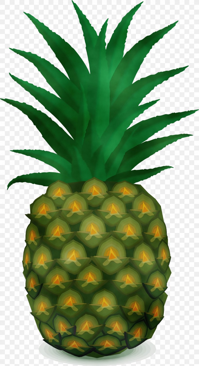 Background Green, PNG, 1631x3000px, Pineapple, Ananas, Drawing, Food, Fruit Download Free