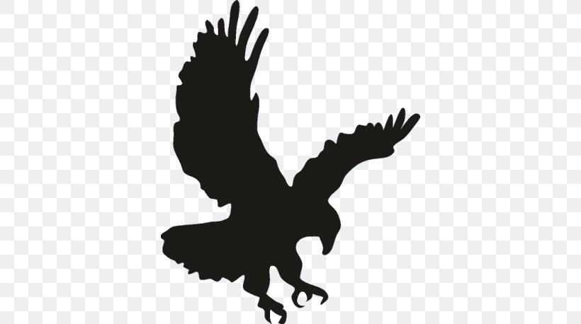 Bald Eagle Bird Clip Art, PNG, 458x458px, Bald Eagle, Art, Beak, Bird, Bird Of Prey Download Free