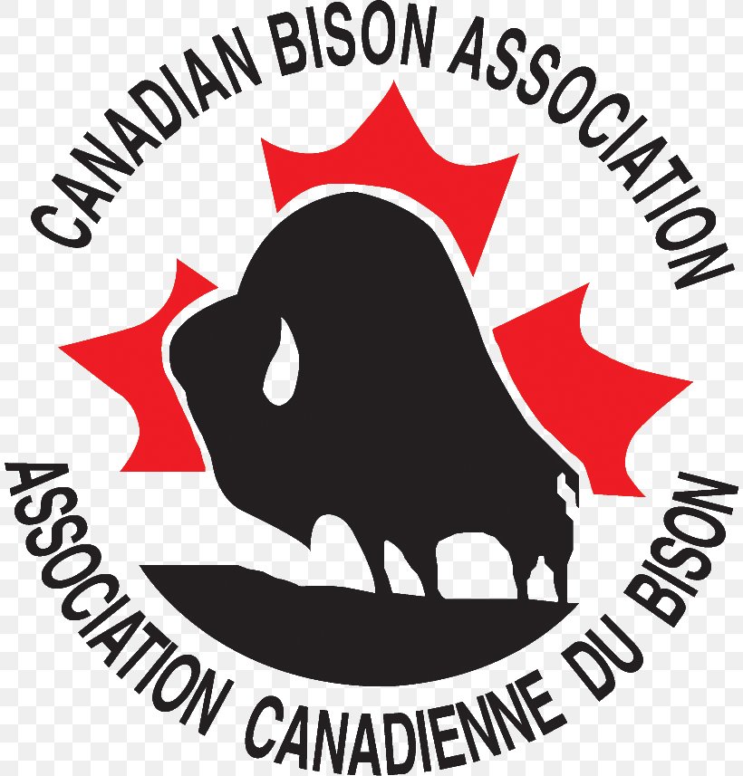 Bison Business Chief Executive Cambridge Sales, PNG, 810x857px, Bison, Area, Artwork, Black, Black And White Download Free