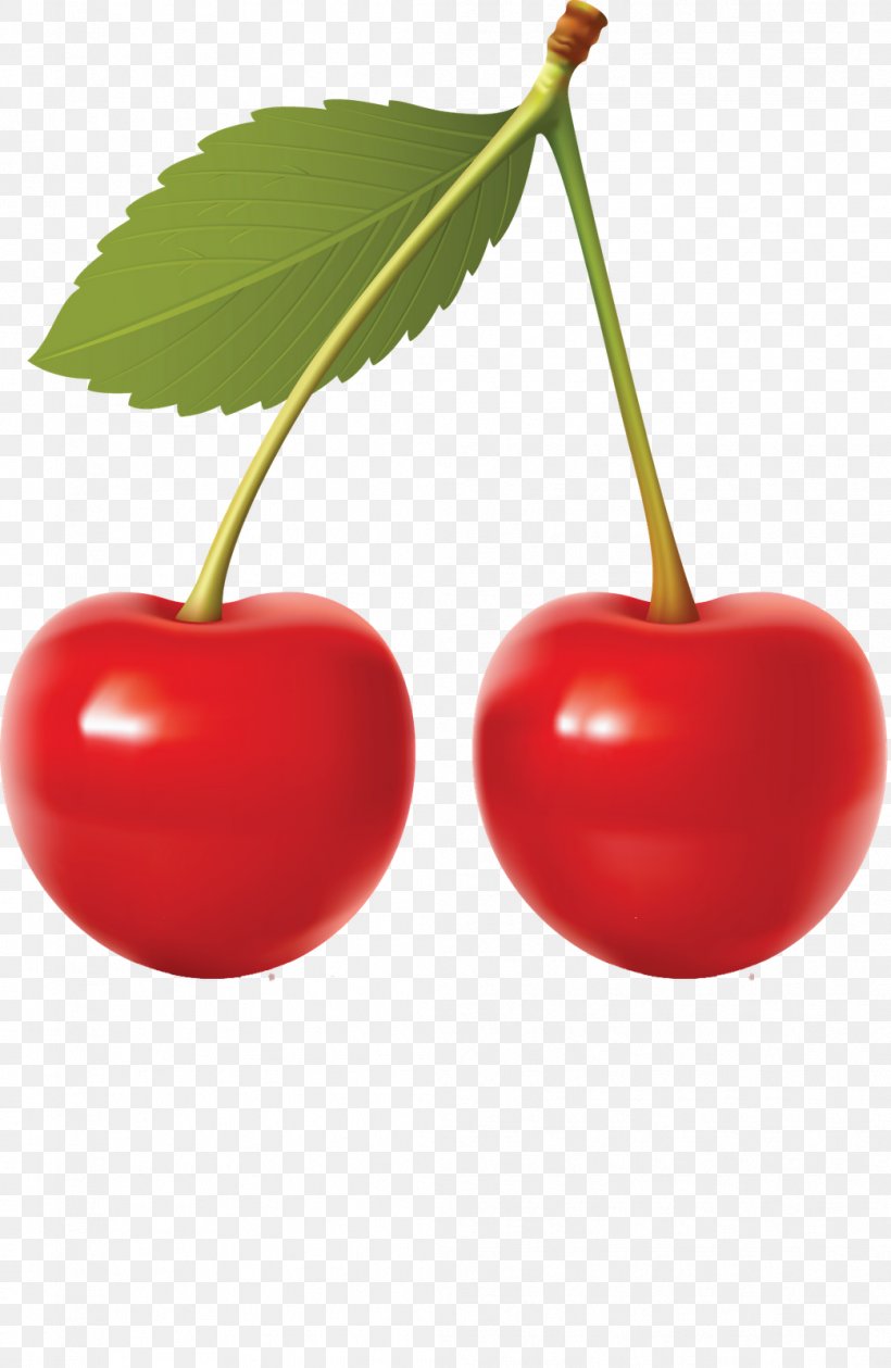 Cherry Clip Art, PNG, 1042x1600px, Cherry, Acerola Family, Berry, Food, Fruit Download Free