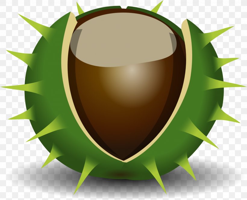 Chestnut Clip Art, PNG, 1969x1600px, Chestnut, Cup, Drawing, European Horsechestnut, Free Content Download Free
