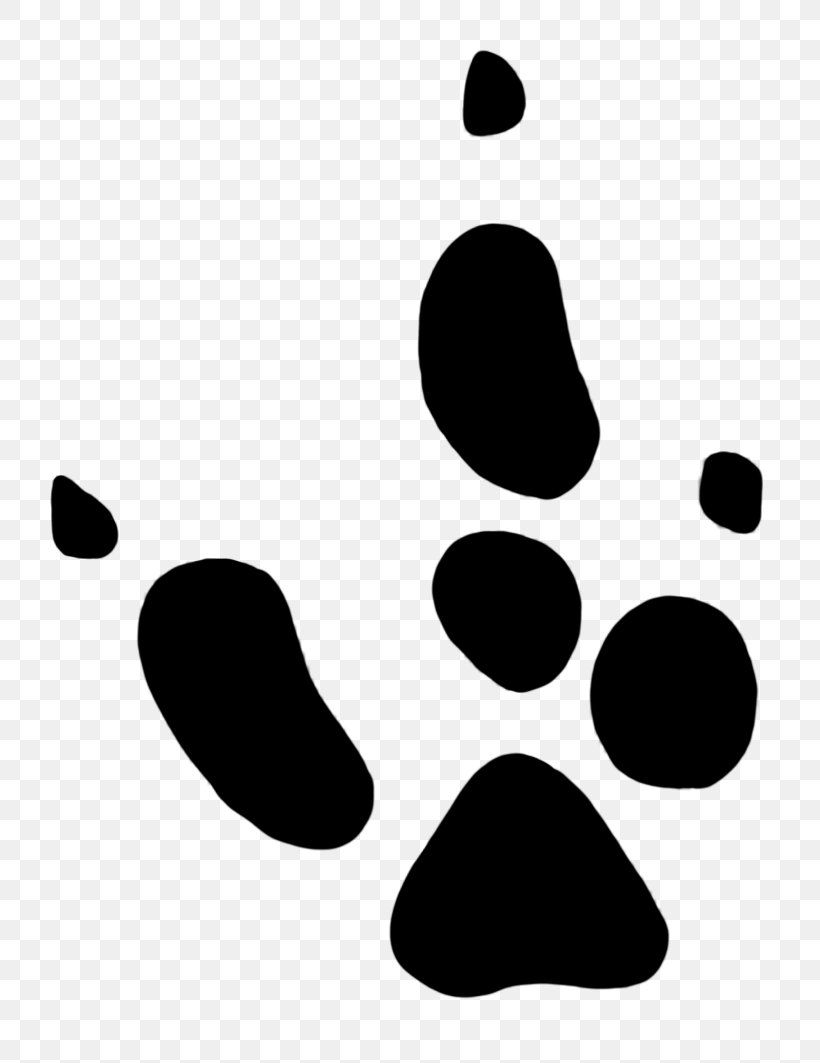 Kangaroo Footprint Paw Dingo Clip Art, PNG, 761x1063px, Kangaroo, Animal, Animal Track, Bear, Black Download Free