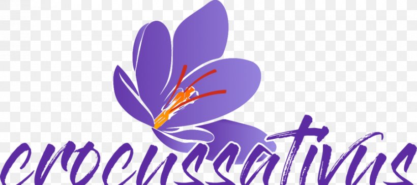 Saffron Autumn Crocus Restaurant Restauracja Aleksandra Sicil Acque Minerali Si.A.M. (S.R.L.), PNG, 900x400px, Saffron, Asian Cuisine, Autumn Crocus, Crocus, Flower Download Free