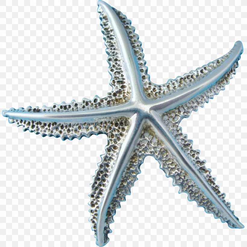 Starfish Echinoderm, PNG, 944x944px, Starfish, Echinoderm, Fashion Accessory, Invertebrate, Jewellery Download Free