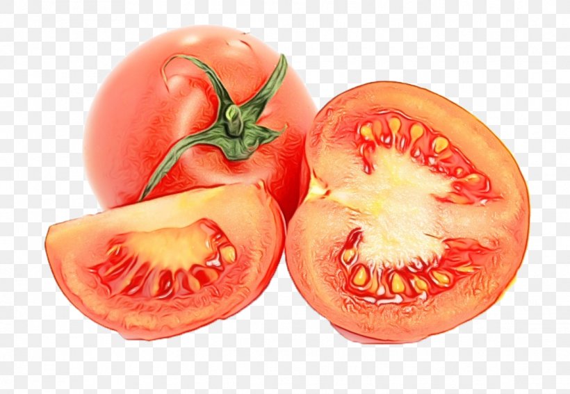Tomato, PNG, 1117x773px, Watercolor, Bush Tomato, Food, Fruit, Natural Foods Download Free