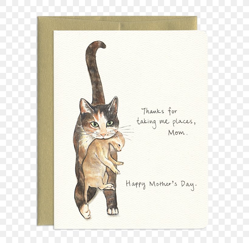 Kitten Tabby Cat Whiskers Mother's Day, PNG, 800x800px, Kitten, Carnivoran, Cat, Cat Like Mammal, Craft Download Free
