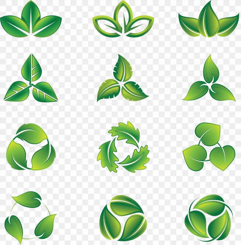 Logo Royalty-free Clip Art, PNG, 6094x6207px, Logo, Drawing, Grass, Green, Leaf Download Free