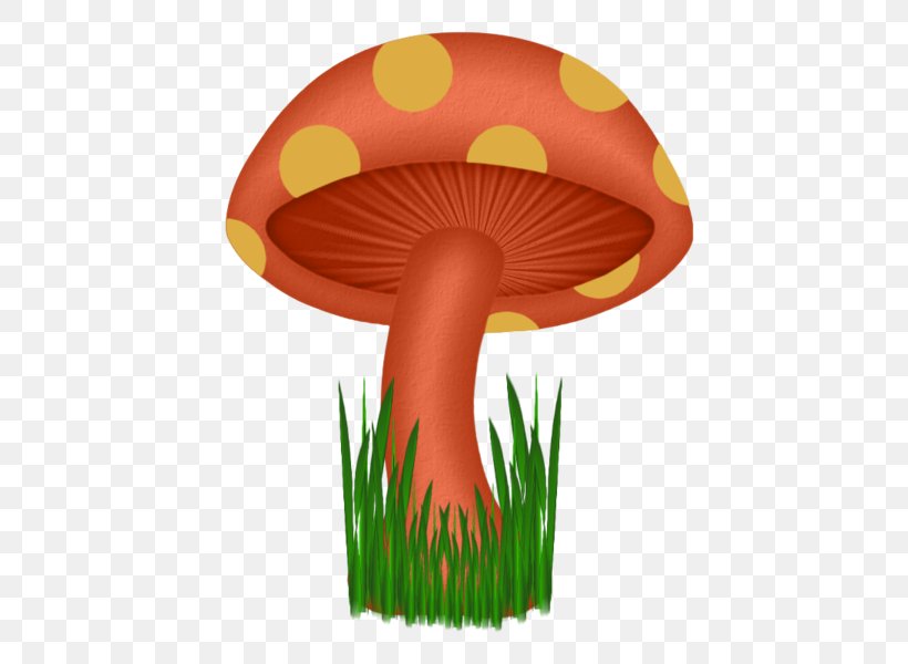 Mushroom Circle Point Drawing, PNG, 600x600px, Mushroom, Animation, Designer, Drawing, Google Images Download Free