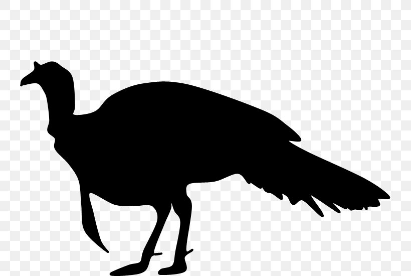 Turkey Clip Art, PNG, 739x550px, Turkey, Artwork, Beak, Bird, Black And White Download Free