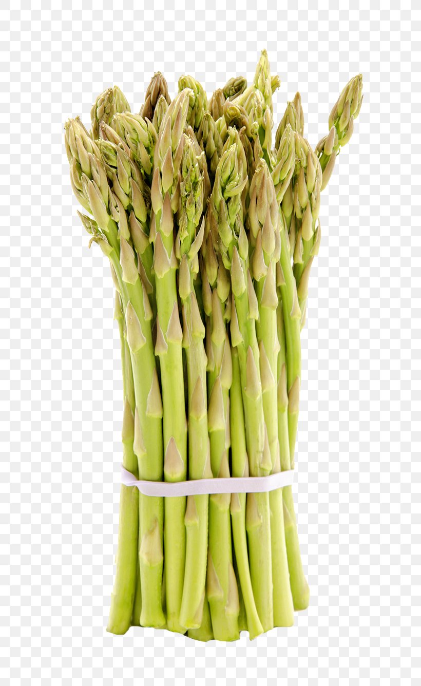 Asparagus Vegetarian Cuisine Bamboo Shoot Vegetable, PNG, 657x1336px, Asparagus, Bamboo, Bamboo Shoot, Canning, Commodity Download Free