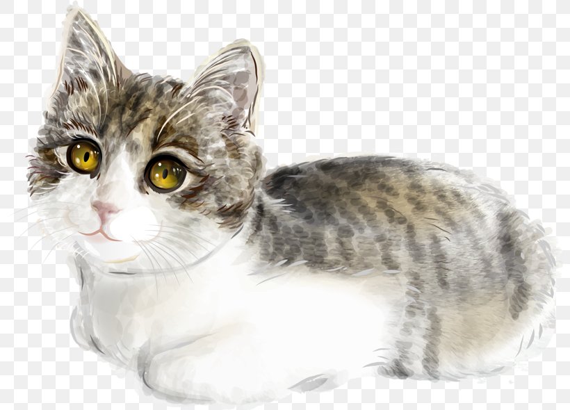 Cat Kitten Illustration, PNG, 800x590px, Cat, American Shorthair, American Wirehair, Animal, Art Download Free