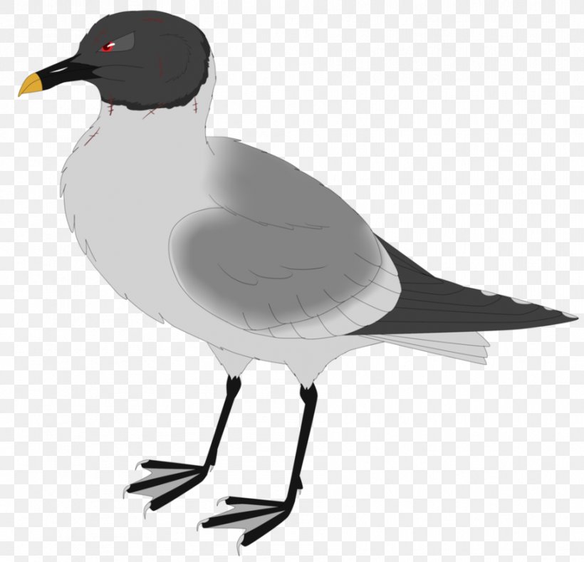 European Herring Gull Gulls Bird Duck Crane, PNG, 911x877px, European Herring Gull, Beak, Bird, Charadriiformes, Crane Download Free