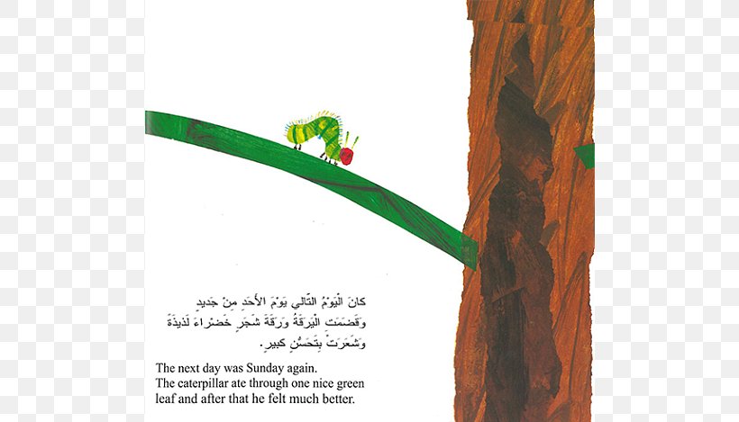 The Very Hungry Caterpillar Hunger Picture Book, PNG, 640x469px, Very Hungry Caterpillar, Animal, Book, Butterfly, Caterpillar Download Free